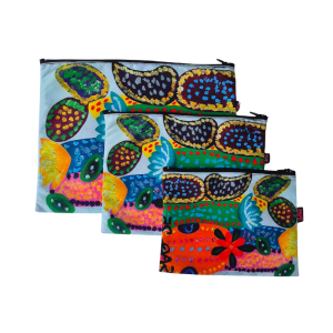 Set de Organizadores X3 - Cactus Multicolor